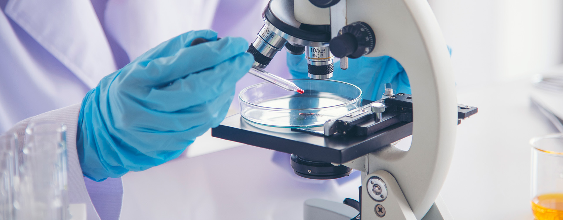 Conceptual image of scientist examining malaria virus in petri dish