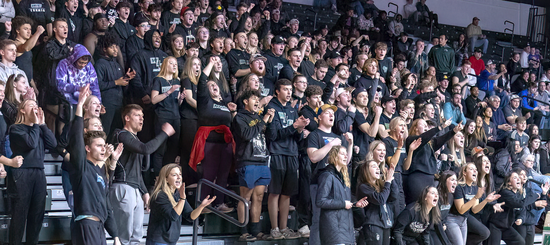 Crowd of students cheering during basketball game