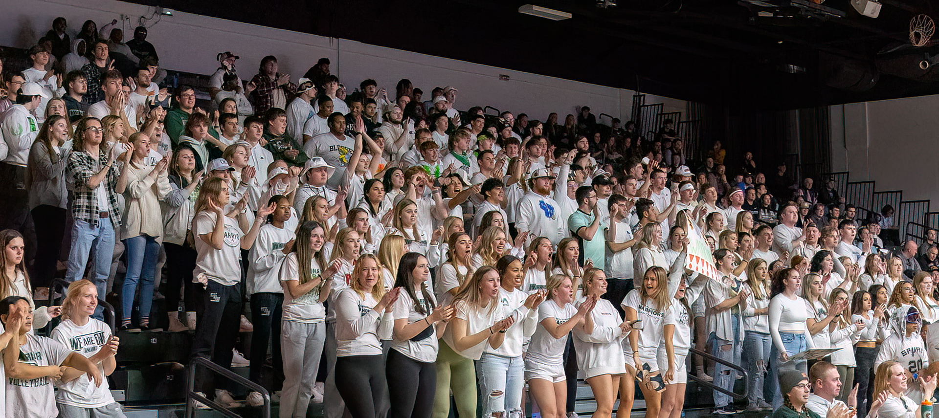 Crowd at men's basketball game