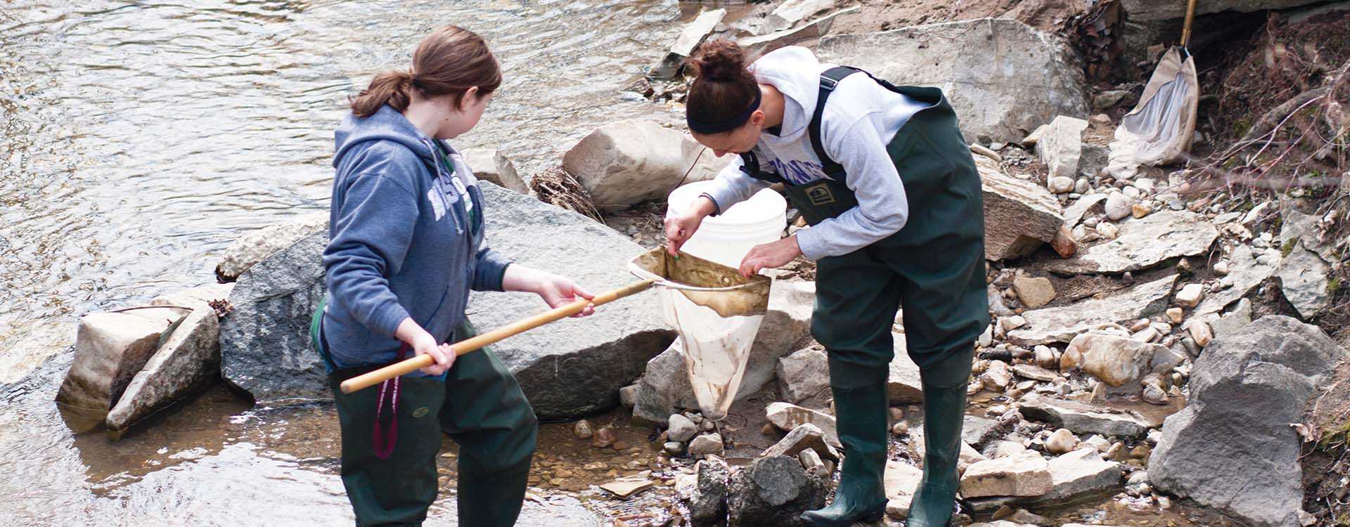 WLC students exploring a local waterway