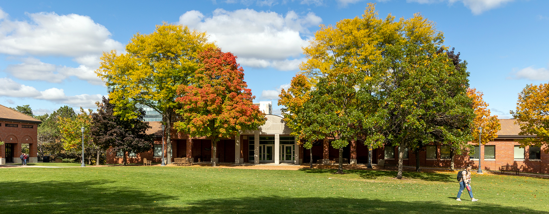 Quad in fall